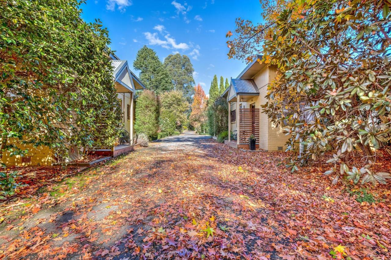Viewhill Holiday Units - Bright Bagian luar foto